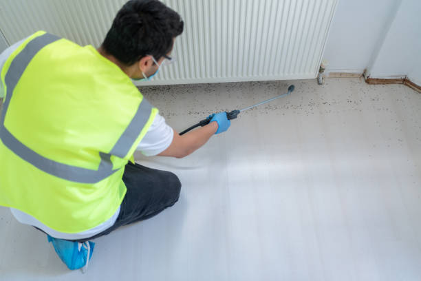 Best Fumigation Services  in Corydon, IN